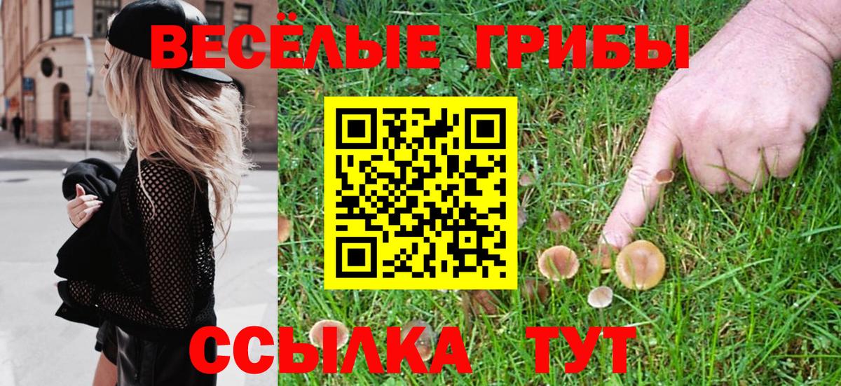 Псилоцибиновые грибы Magic Shrooms  Галлюциногенные грибы ЛСД  Заводоуковск  Вход с VPN 
